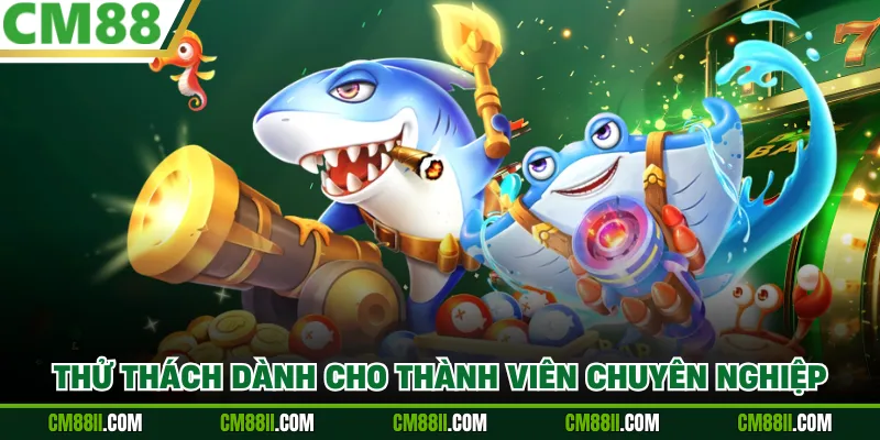 Thử thách dành cho thành viên chuyên nghiệp